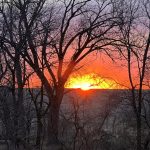 cottonwood (7)
